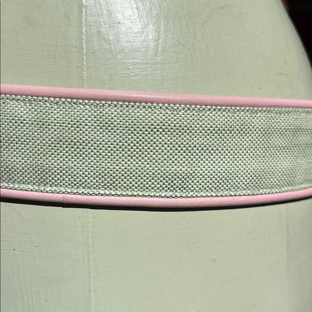 Lily Pulitzer Pastel Green & Pink Canvas Belt with Gold Floral Buckle size small - Picture 3 of 4